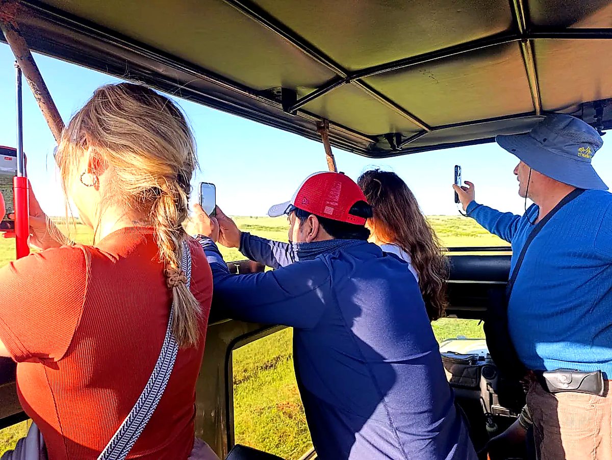 Guests photographing wildlife from a pop-top safari vehicle on the Mara plains
